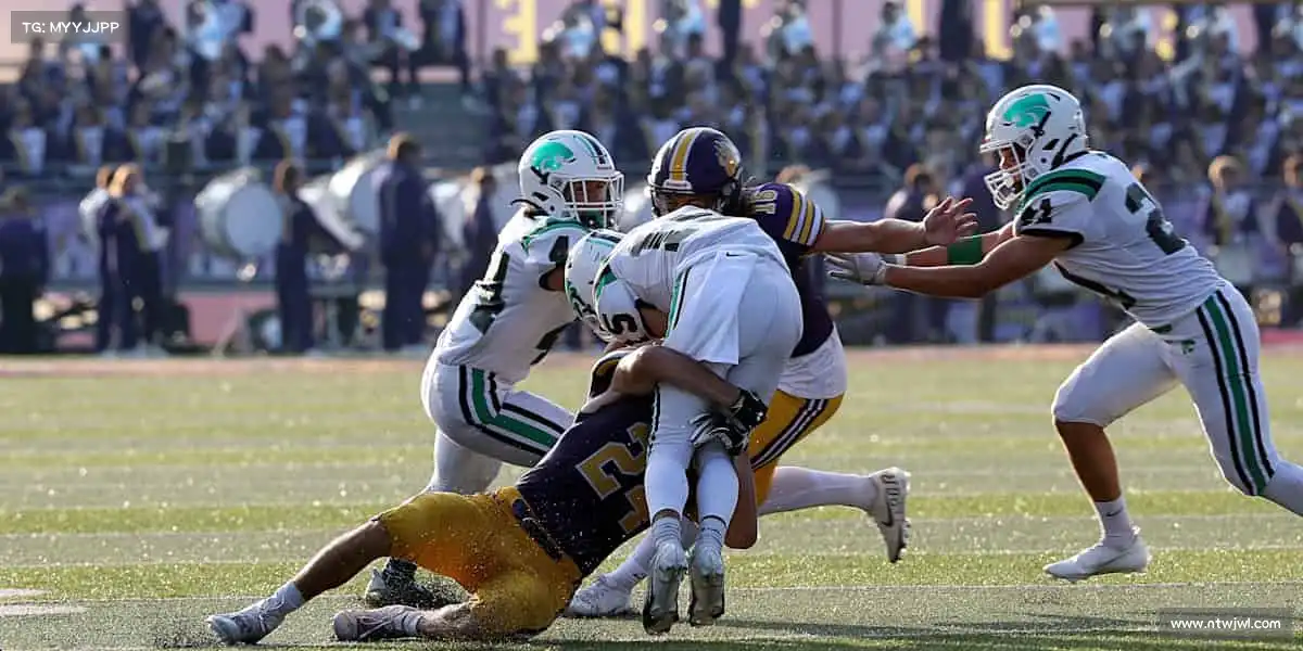 SG胜游——热血集结,共赴每一场精彩赛事!🥊